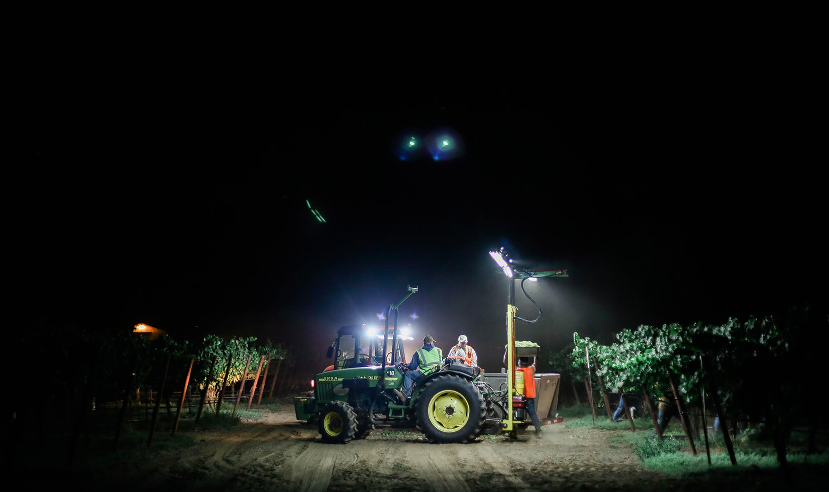 harvest crew member in a tractor night harvesting Chardonnay fruit