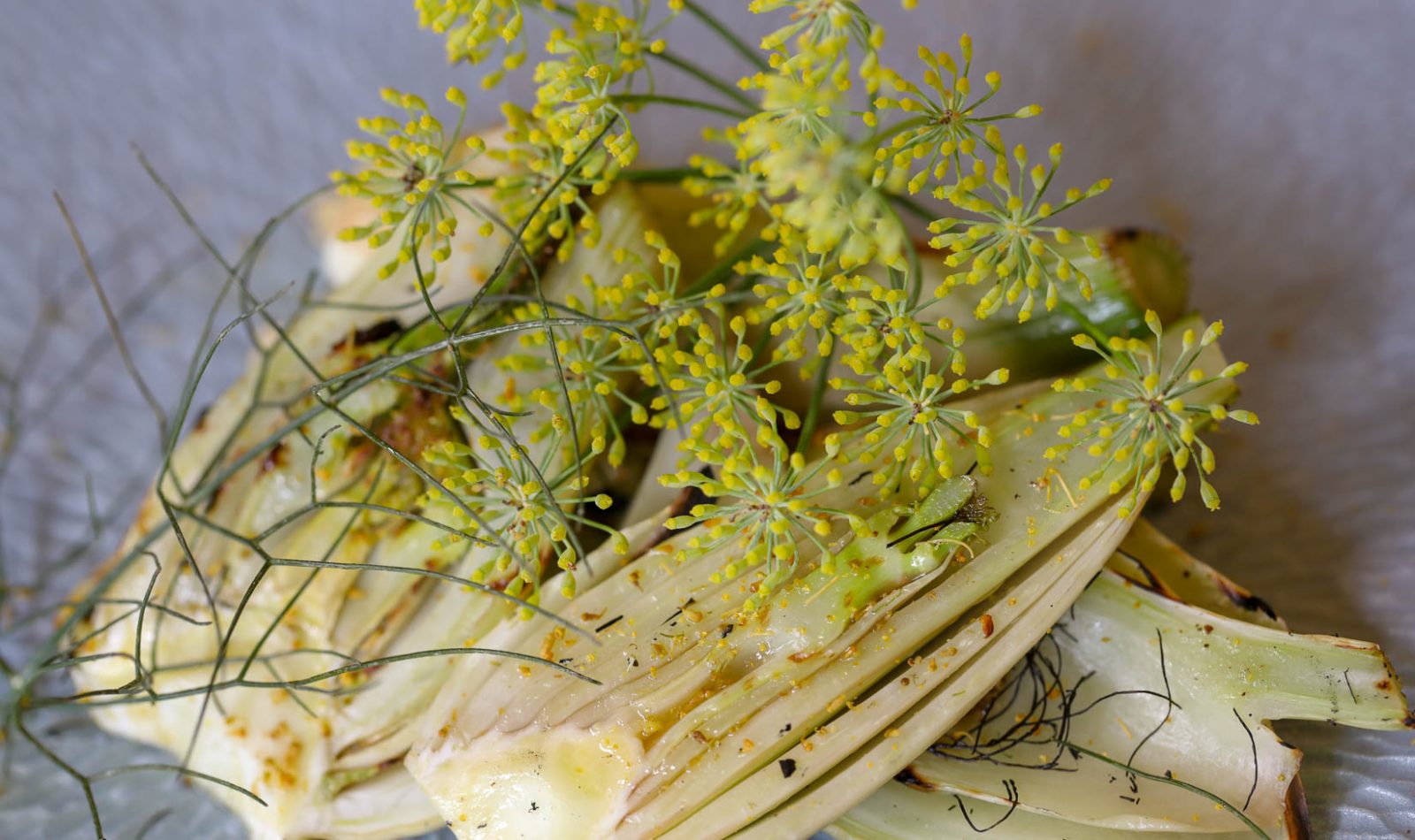 How to Use Fennel in Cooking Wild Fennel Recipes