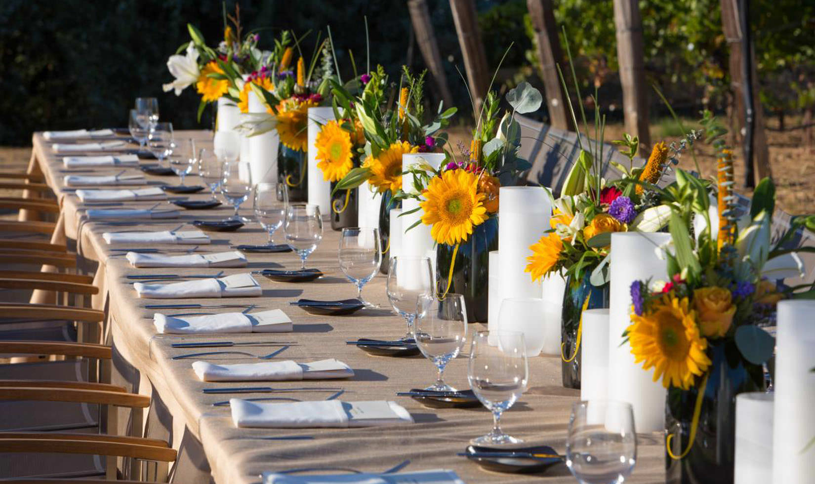 Sonoma Winery Dinner In The Vineyard | Summer Events