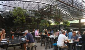 Healdsburg Restaurants Bars What S New In 2018 Healdsburg Restaurants With The Best Patios Outdoor Dining In Wine Country