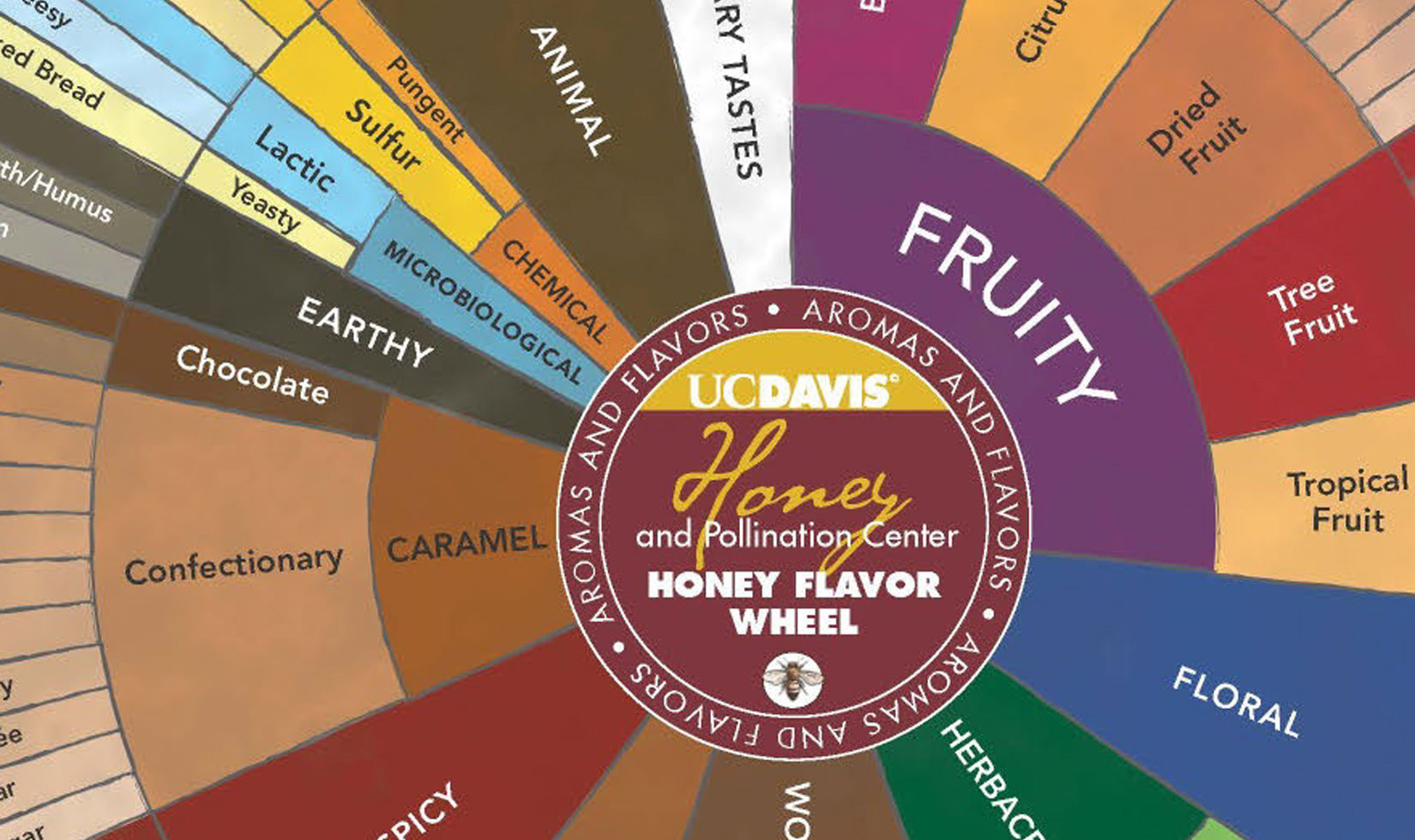 Hone Flavor Wheel Chart as featured in Wine Country Table