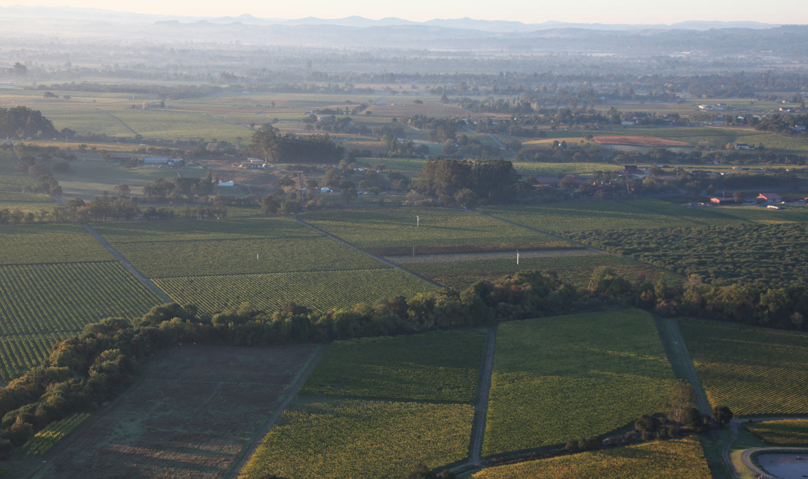 russian river vineyard aerial view