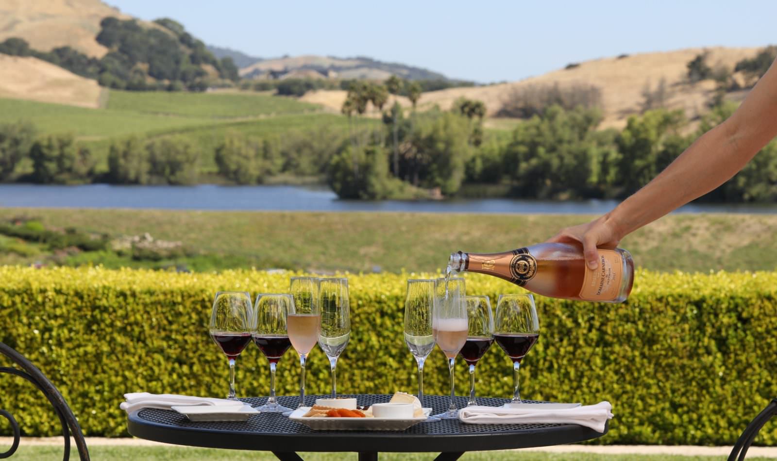 Napa & Sonoma Sparkling Wine Tasting with Food