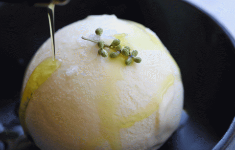 close up of Jordan winery olive oil drizzled over olive oil ice cream