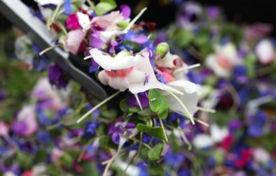 close up of Edible Flowers Microgreens from Earthworker at Sebastopol Farmers Market