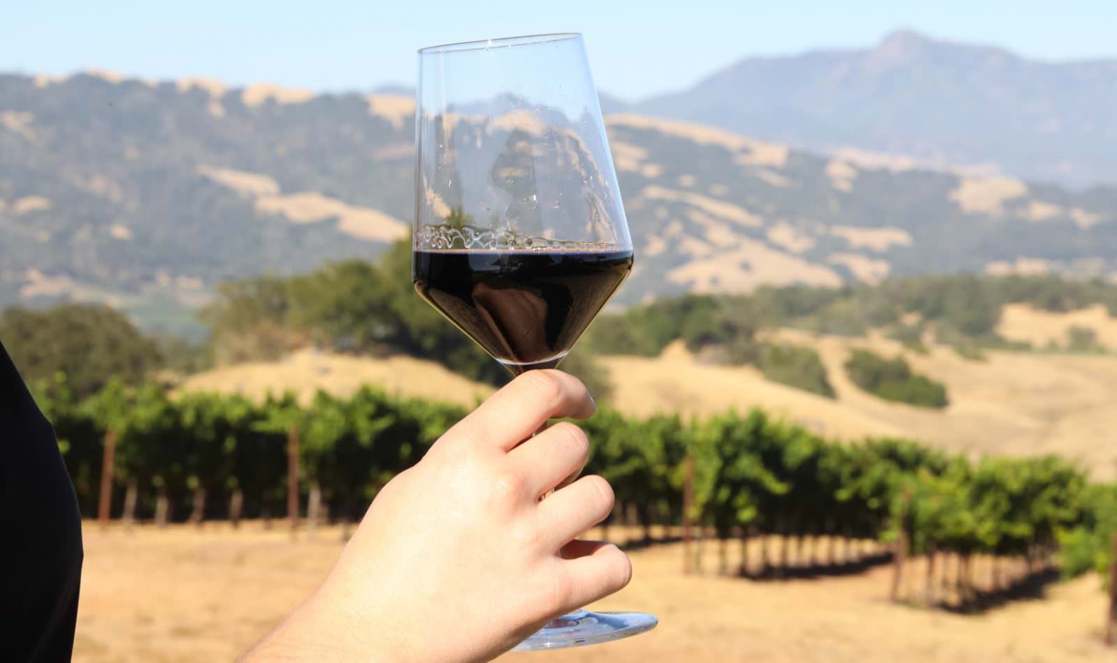 Best Wineries with a View Healdsburg CA Wine Country Table