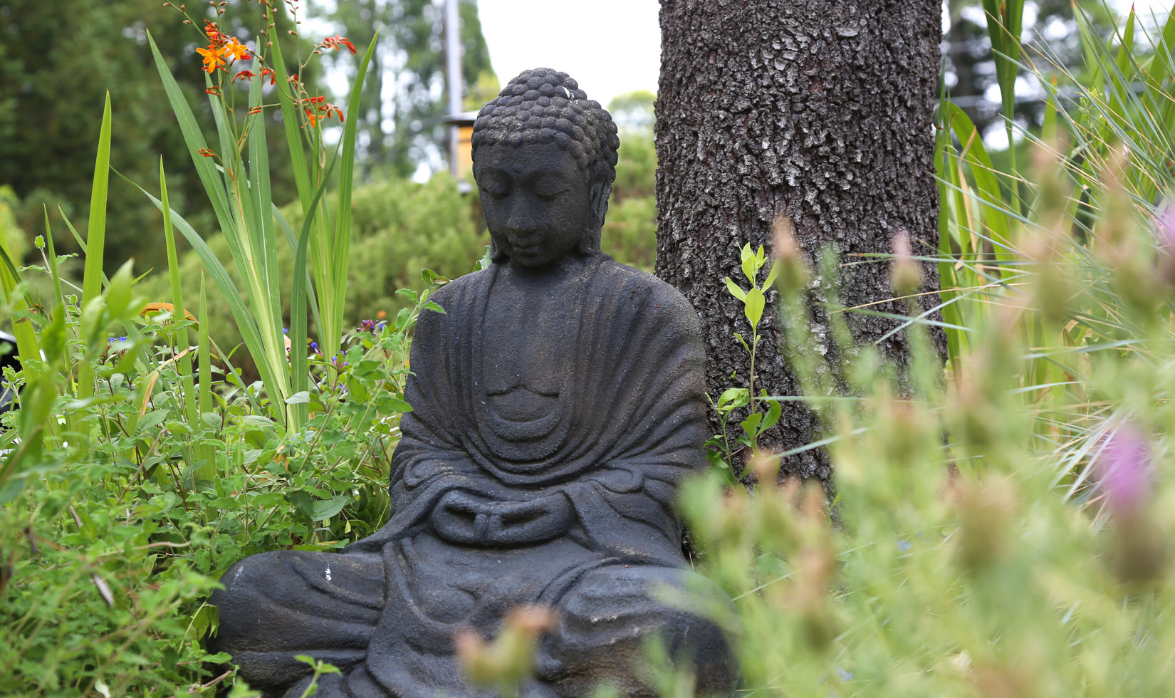Buddha statue in Osmosis Spa gardens Sonoma County