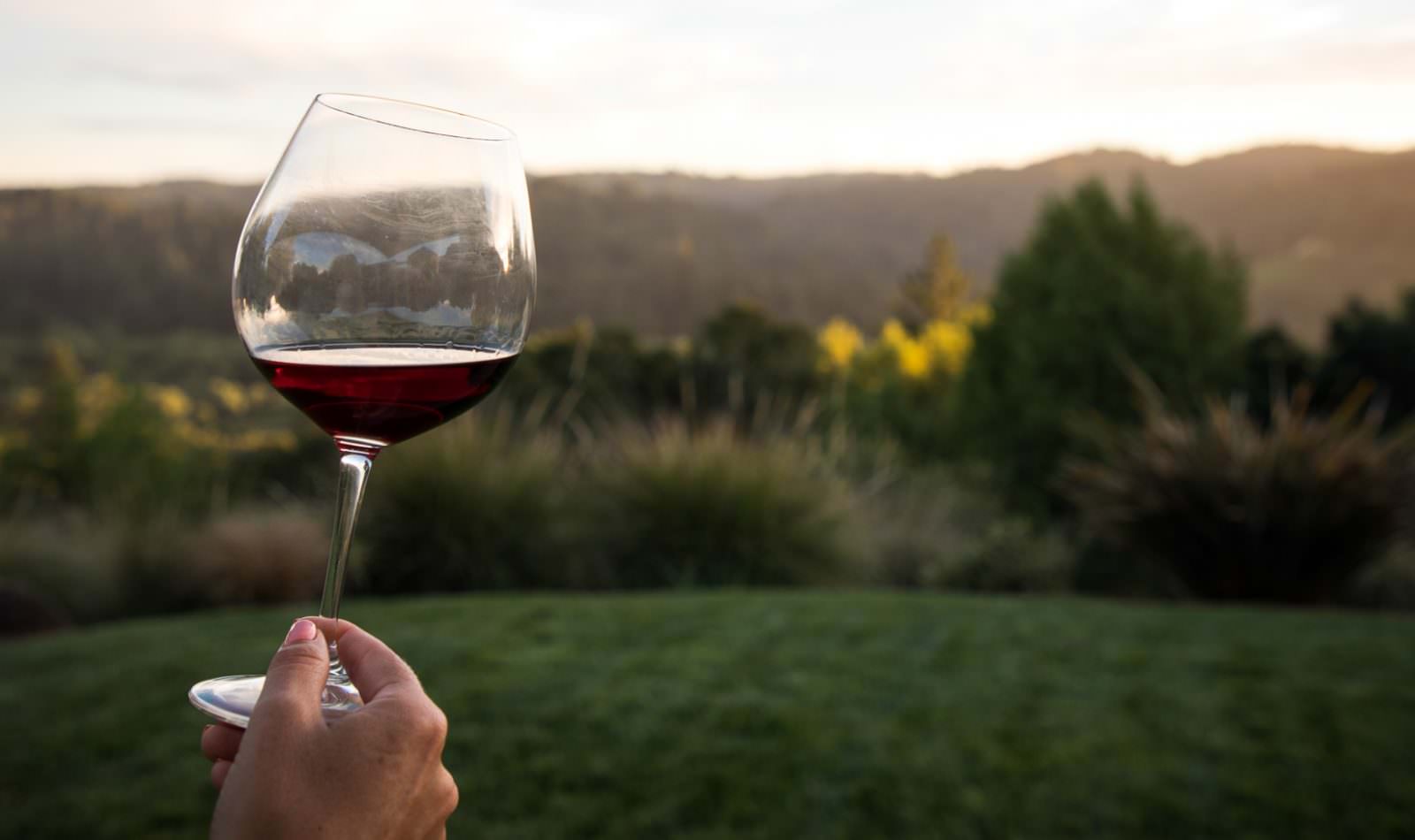 hand holding a glass of red wine with greenery in background