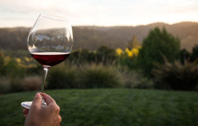 hand holding a glass of red wine with greenery in background