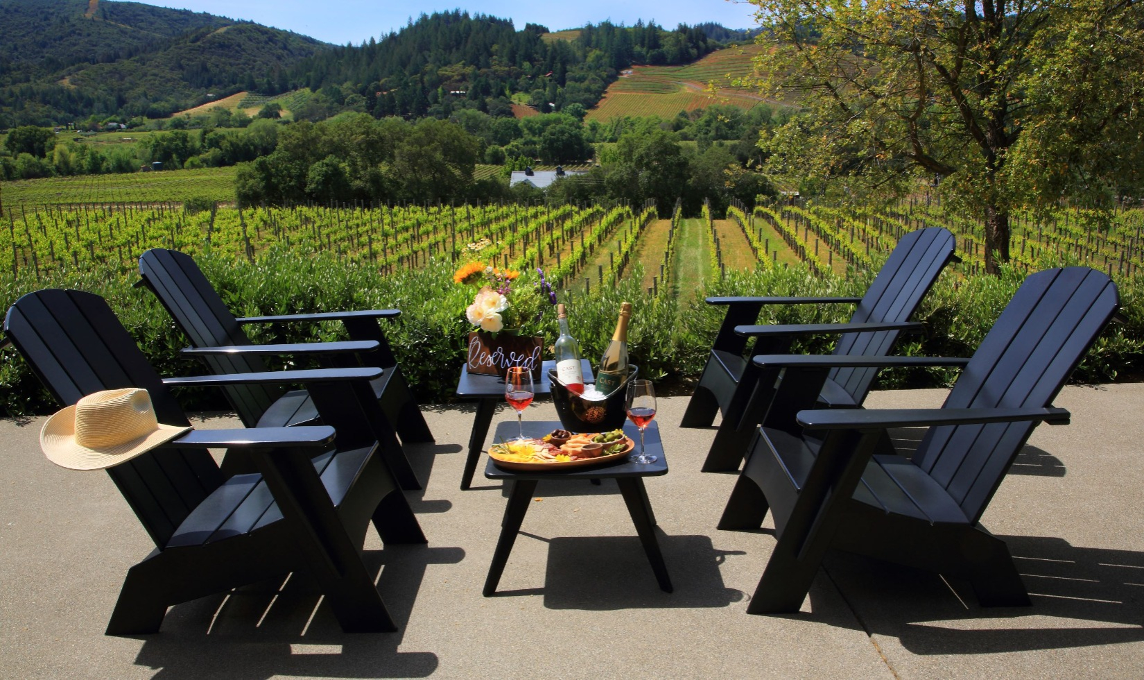 Adirondack chairs on terrace by vineyard with wine on table in ice buckets and chacuterie board