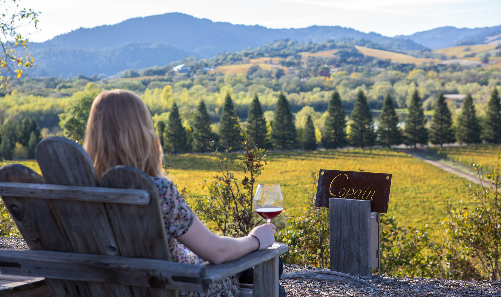 Guest sitting in a chair with a glass of red wine looking out into the valley