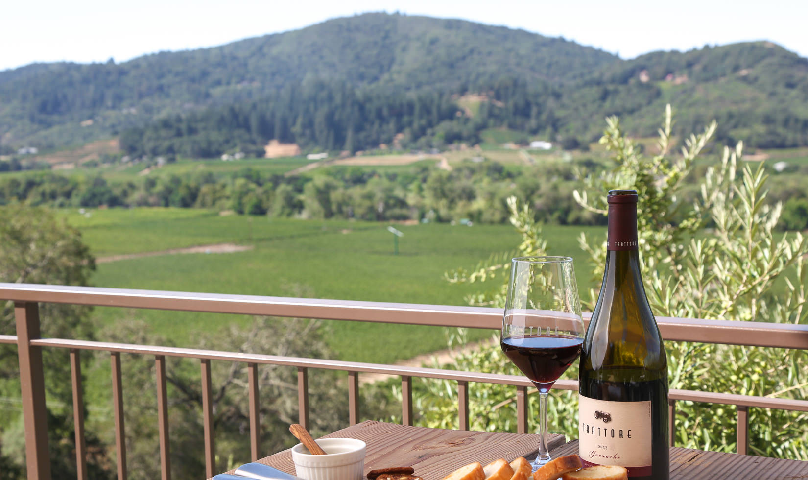 View from Trattore Farms winery terrace in Healdsburg