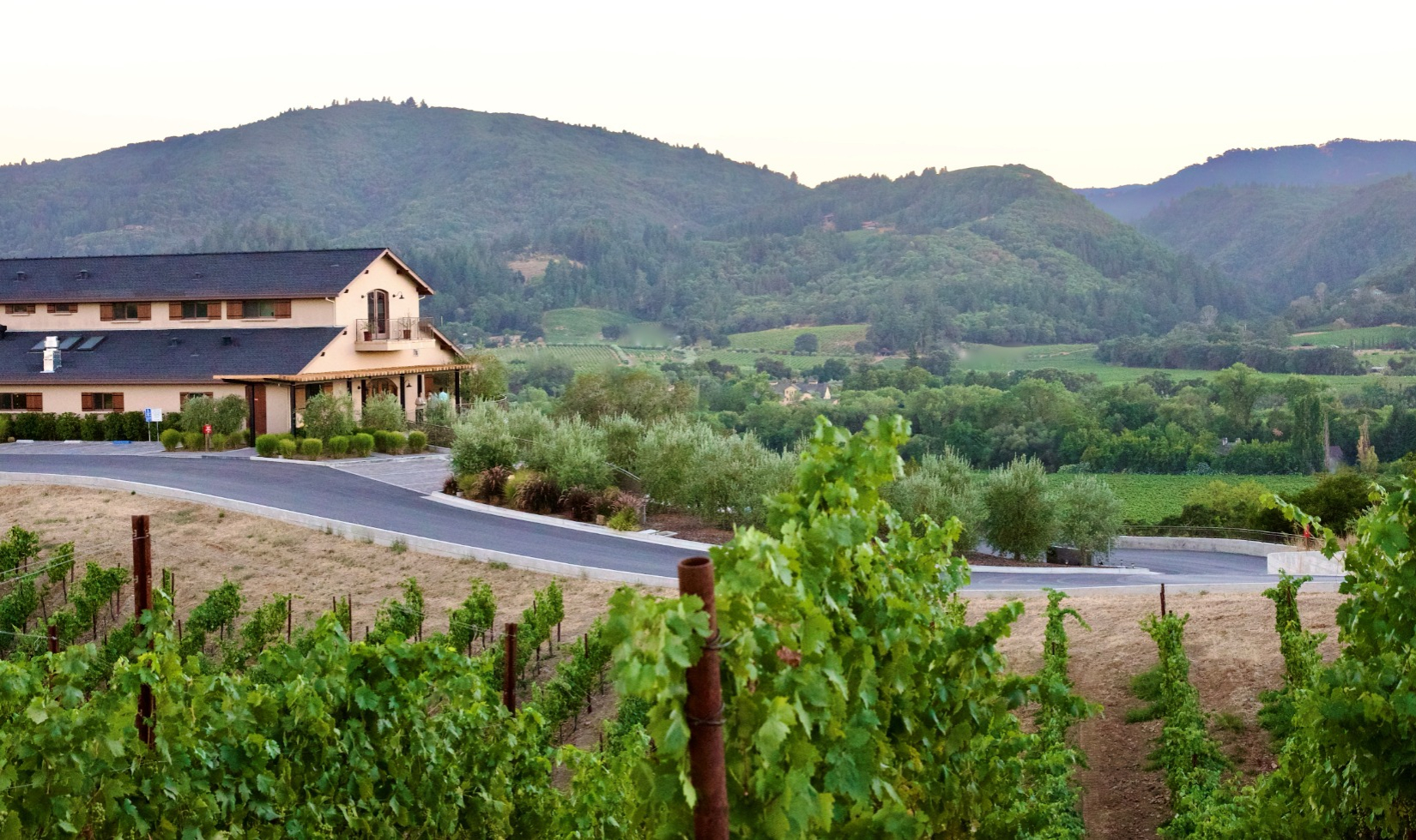 Winery building with rolling hills and vineyard in the background