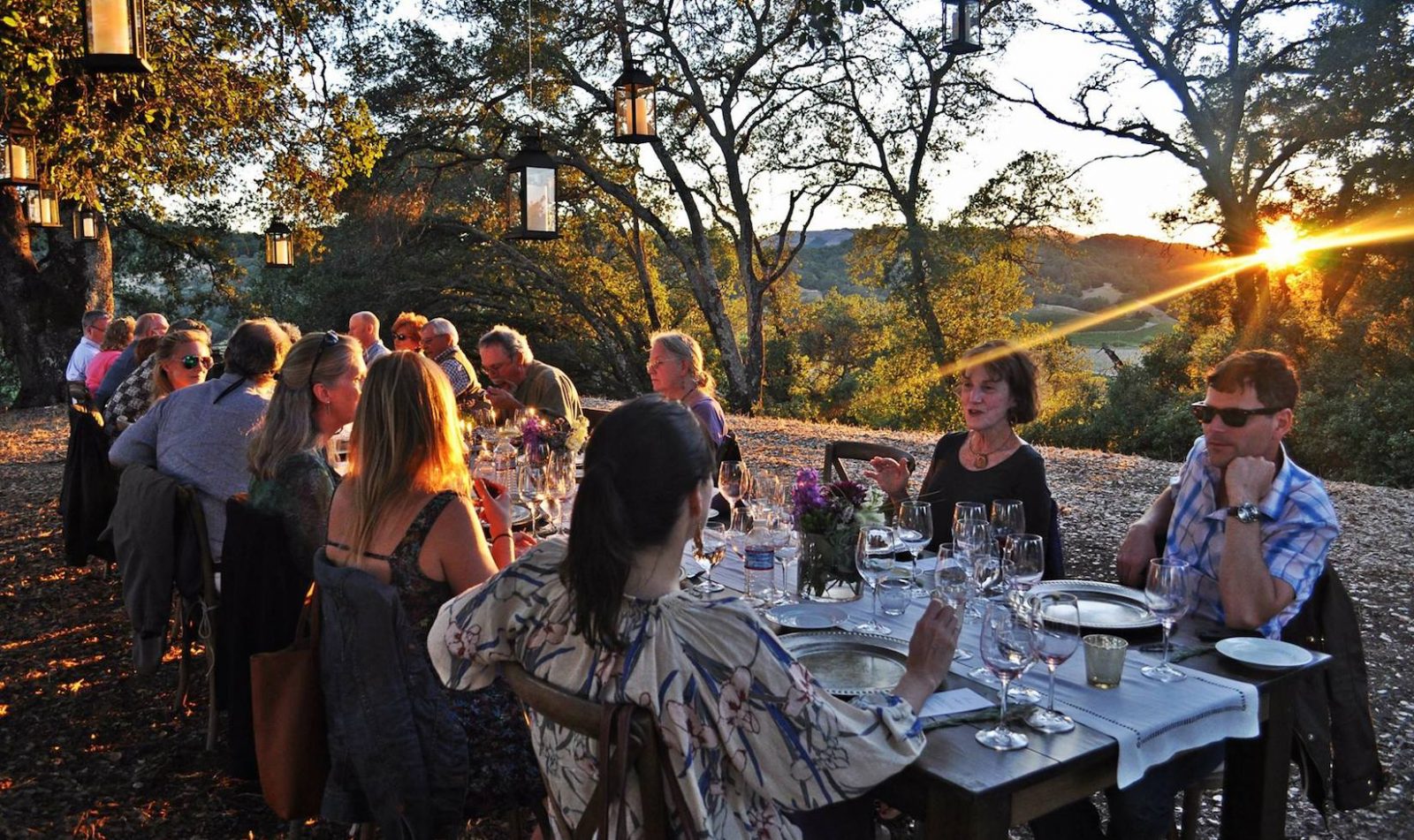 Healdsburg Winery Harvest Events Wine Lunch & Dinner Parties