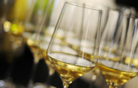 wine glasses with pours of white wine