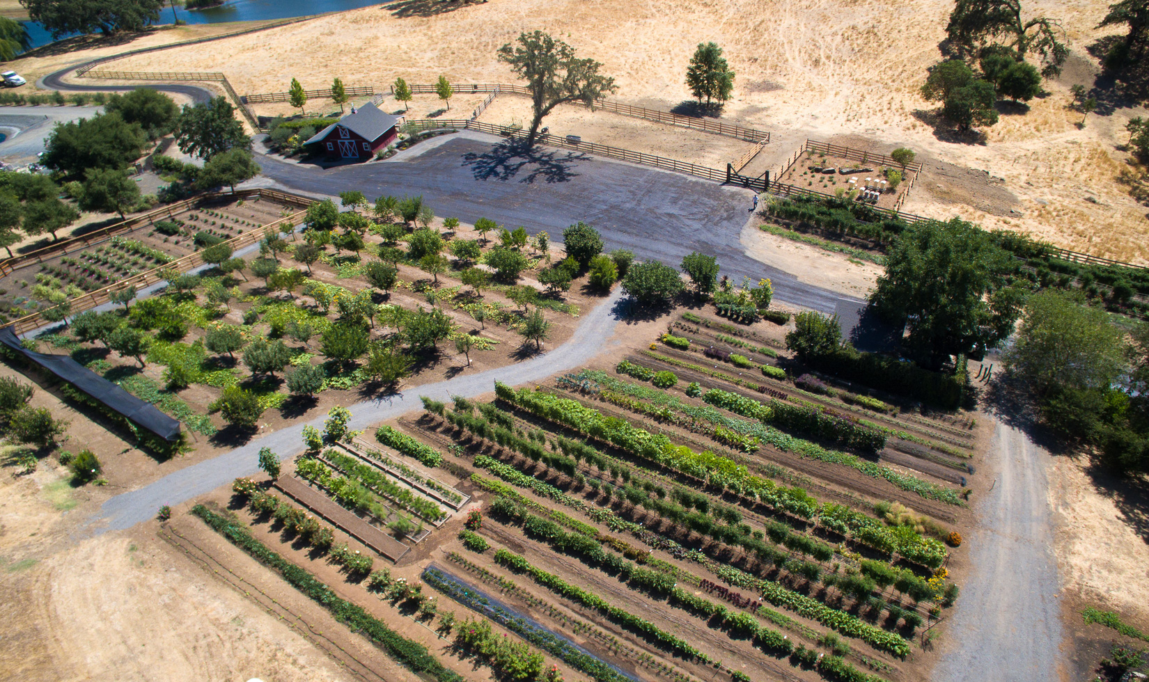 aerial view of garden and bee garden apiary at Jordan Winery