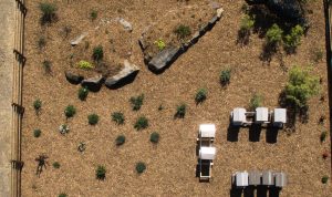 aerial shot of the apiary garden at Jordan Winery