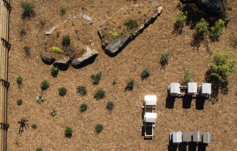 aerial shot of the apiary garden at Jordan Winery
