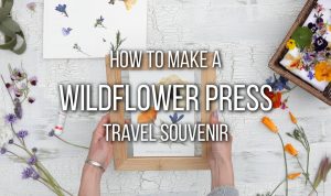 hands holding pressed flowers in frame surrounded by an assortment of wildflowers with image text "how to make a wildflower press travel souvenir"