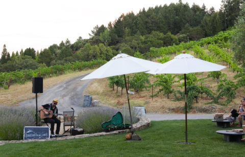 2020-7-10 Bella Vineyards and Wine Caves Sonoma County Dry Creek Valley Outdoor Winery Experiences Pizza Night WEB SIZE-6586