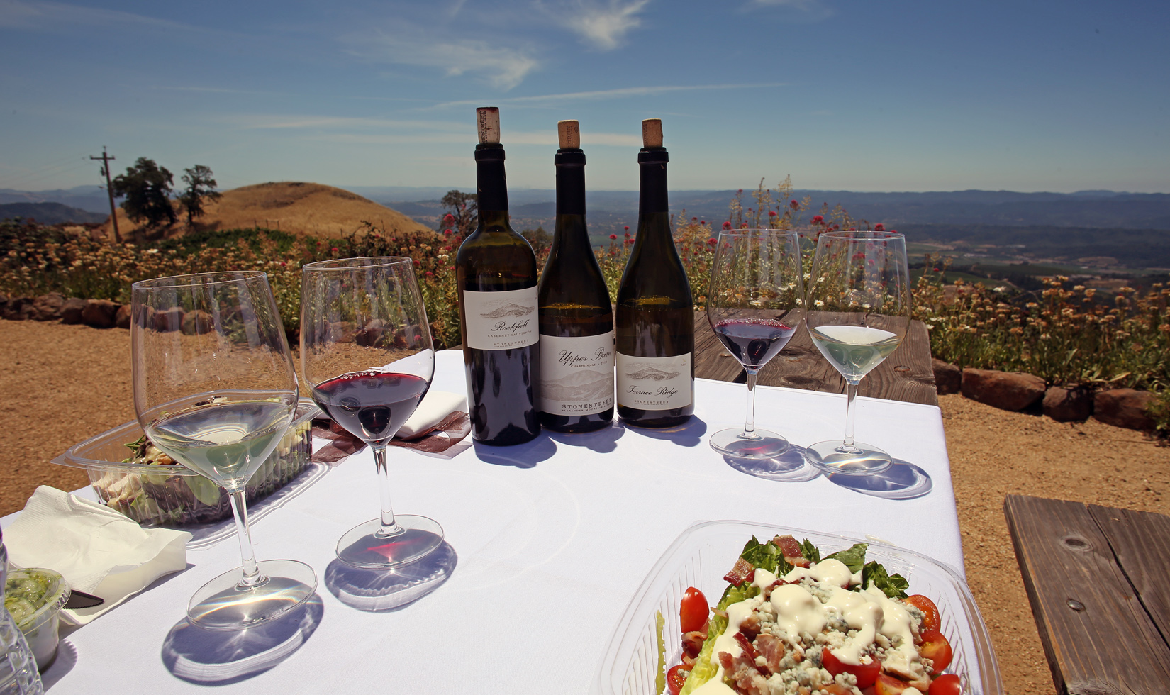 Healdsburg Winery Tours, Stonestreet Mountaintop Winery Picnic