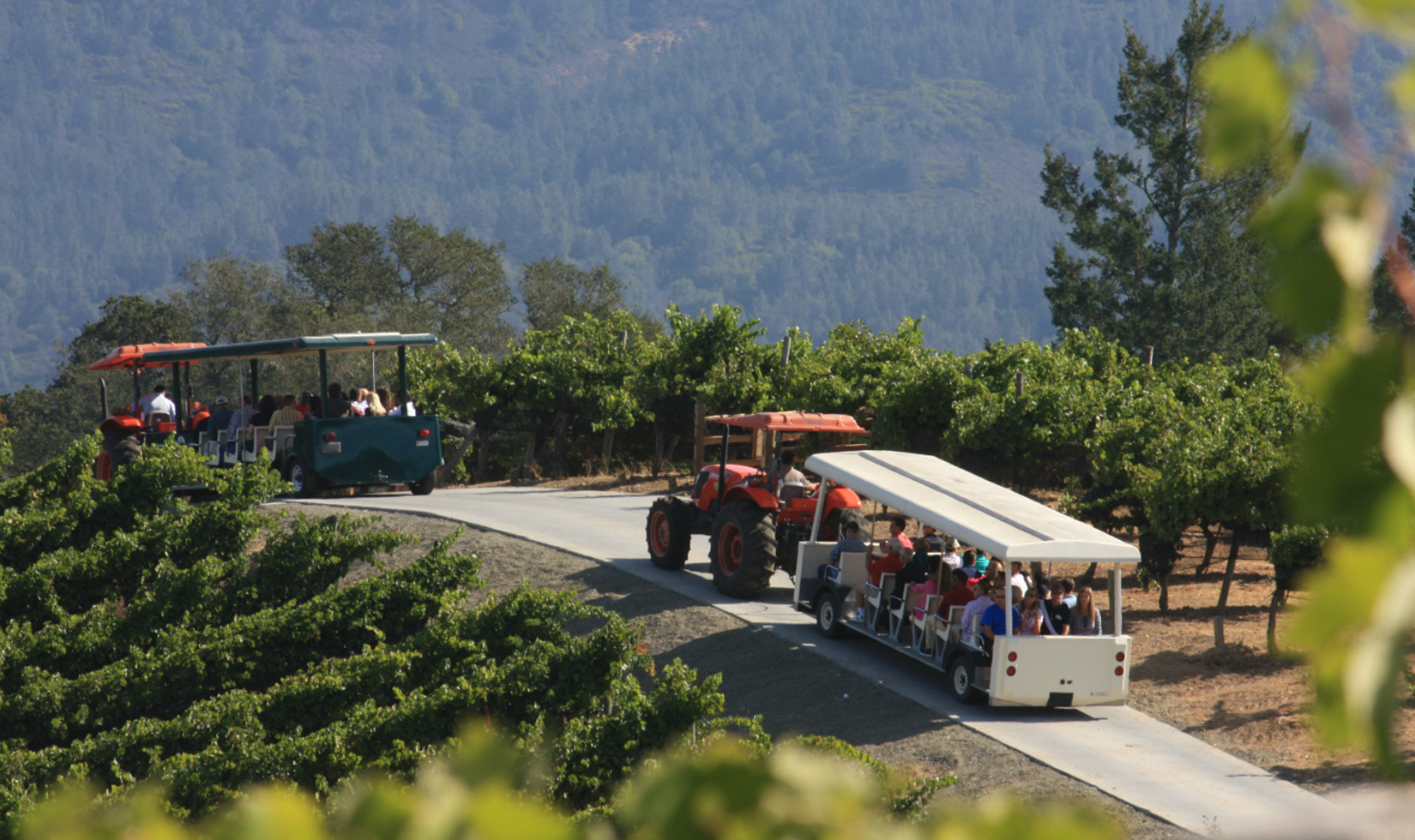 benziger winery tram tour