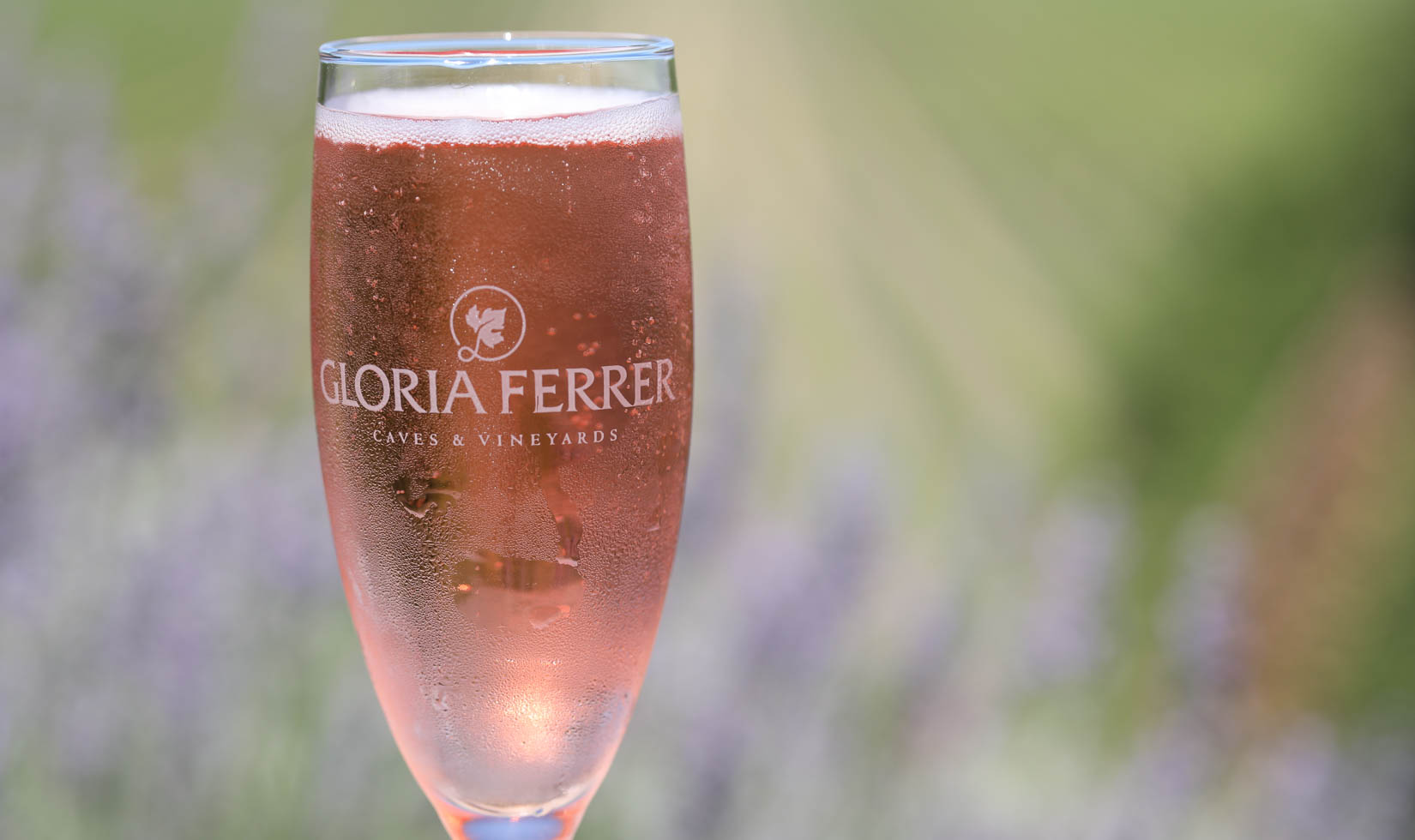 glass of rose sparkling wine in a Gloria Ferrer logo flute