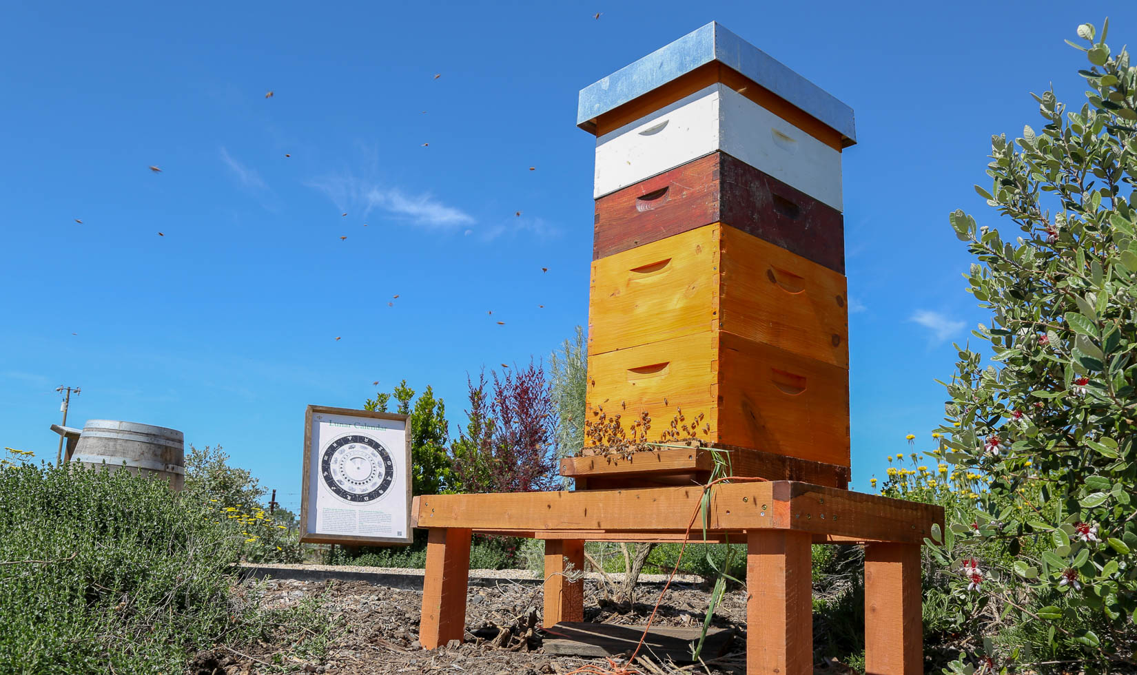 Deloach Winery bee hives garden 