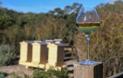 chardonnay wine glass on fence with honey beehives in background