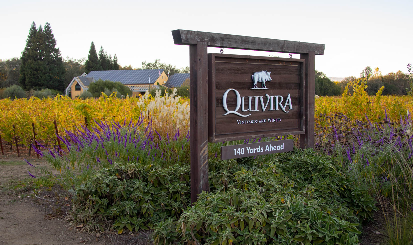 Quivira Winery entrance sign vineyard in fall