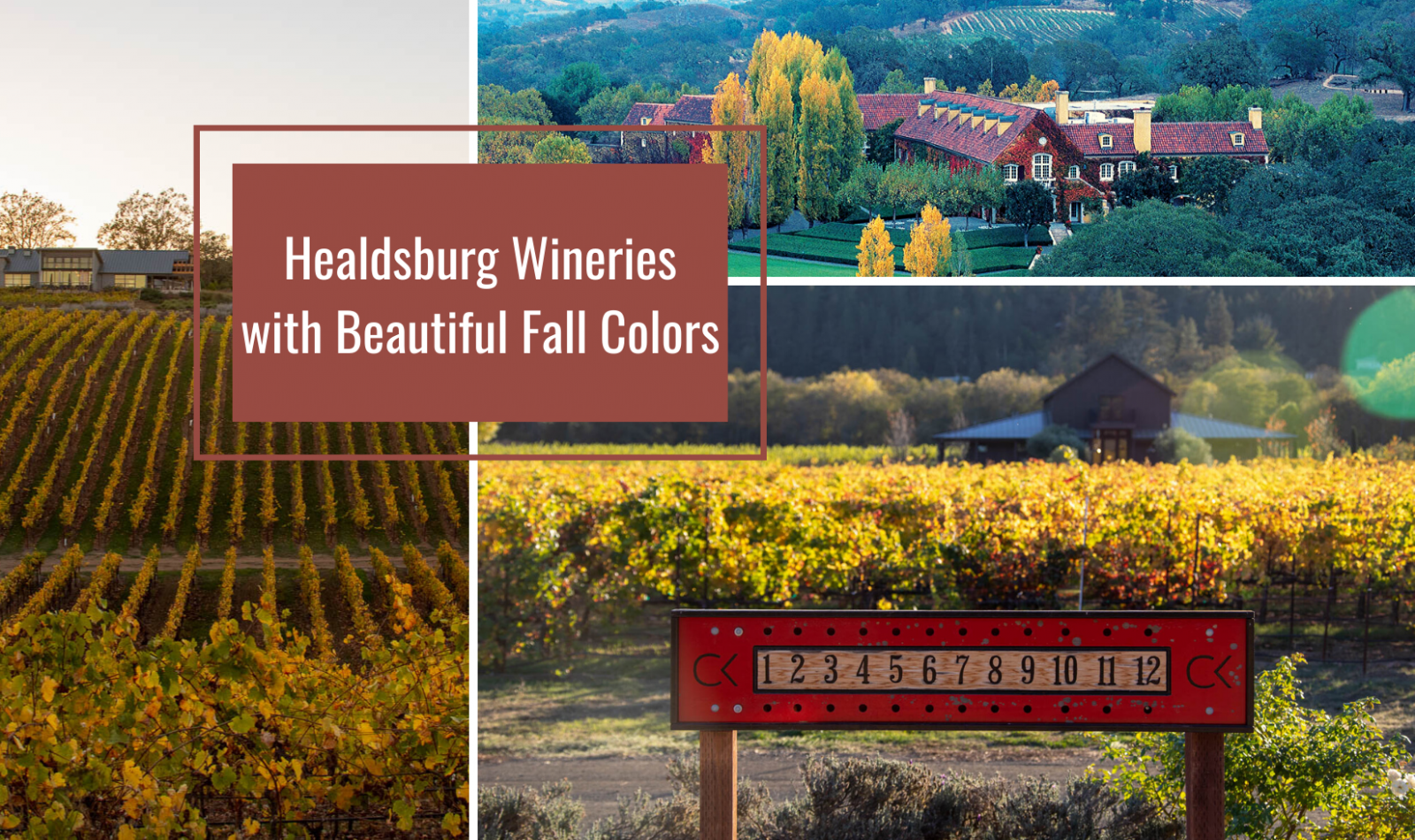 photo collage of Healdsburg Wineries with Beautiful Fall Colors with image text "Healdsburg wineries with beautiful fall colors"