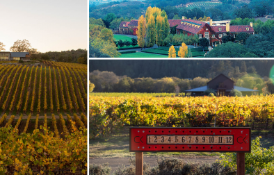 photo collage of Healdsburg Wineries with Beautiful Fall Colors - No Text