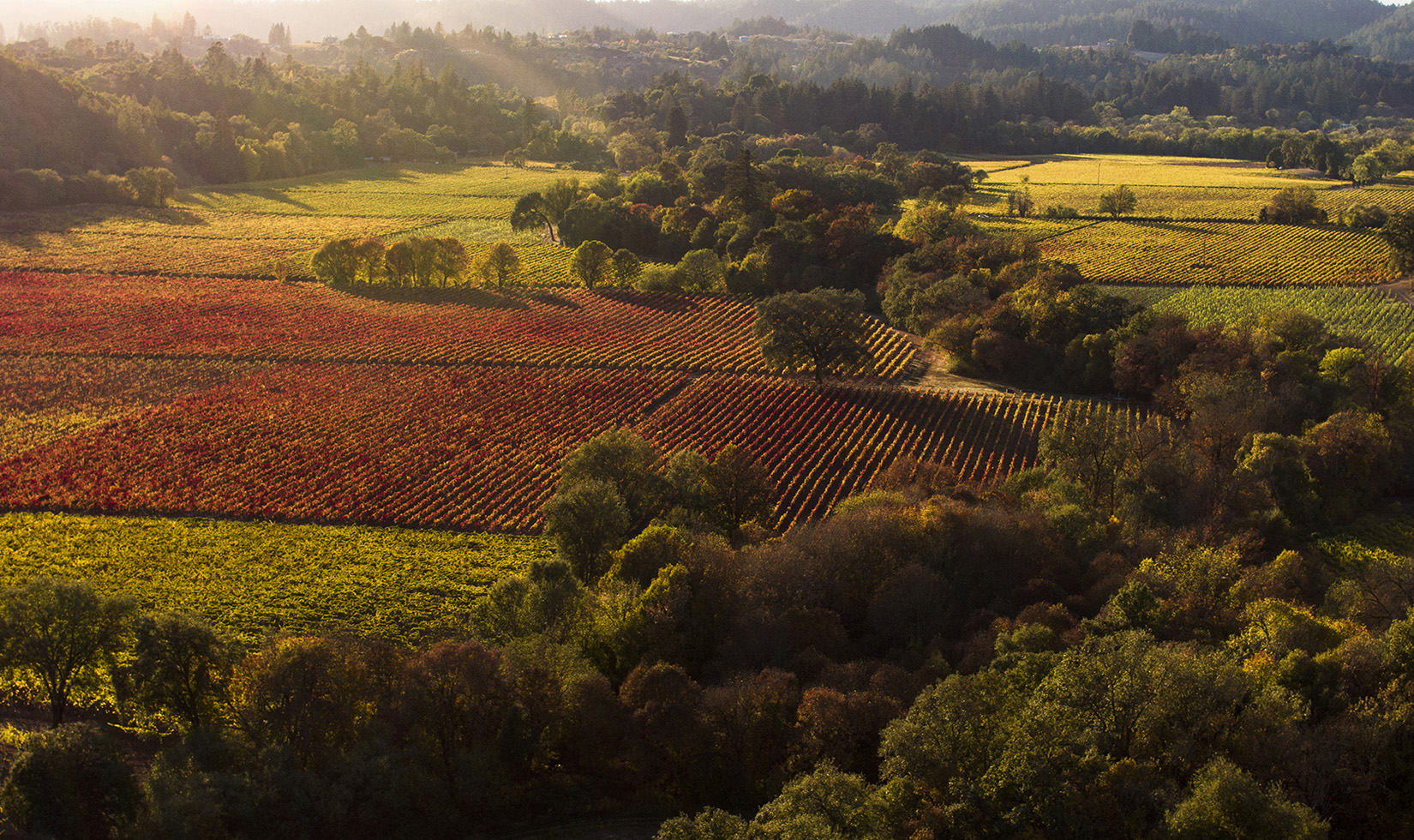 gary farrell ritchie vineyard aerial photo