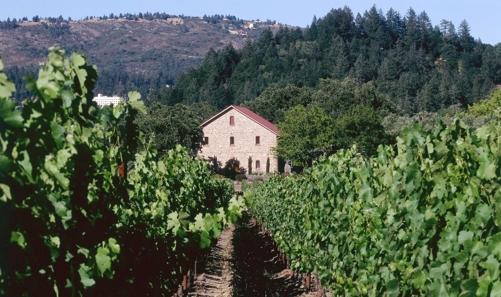 Ehlers Estate Winery Napa