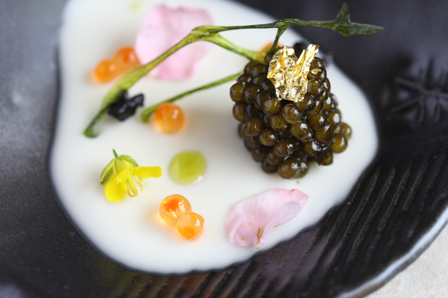 Ocean-Inspired Panna Cotta with Jordan Chef's Reserve Caviar