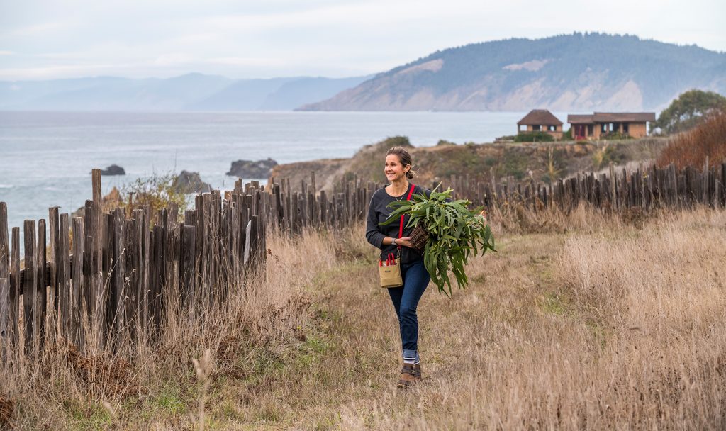 Jordan Winery Director of Hospitality Nitsa Knoll walking near the coastline with foraged plants in her hands.