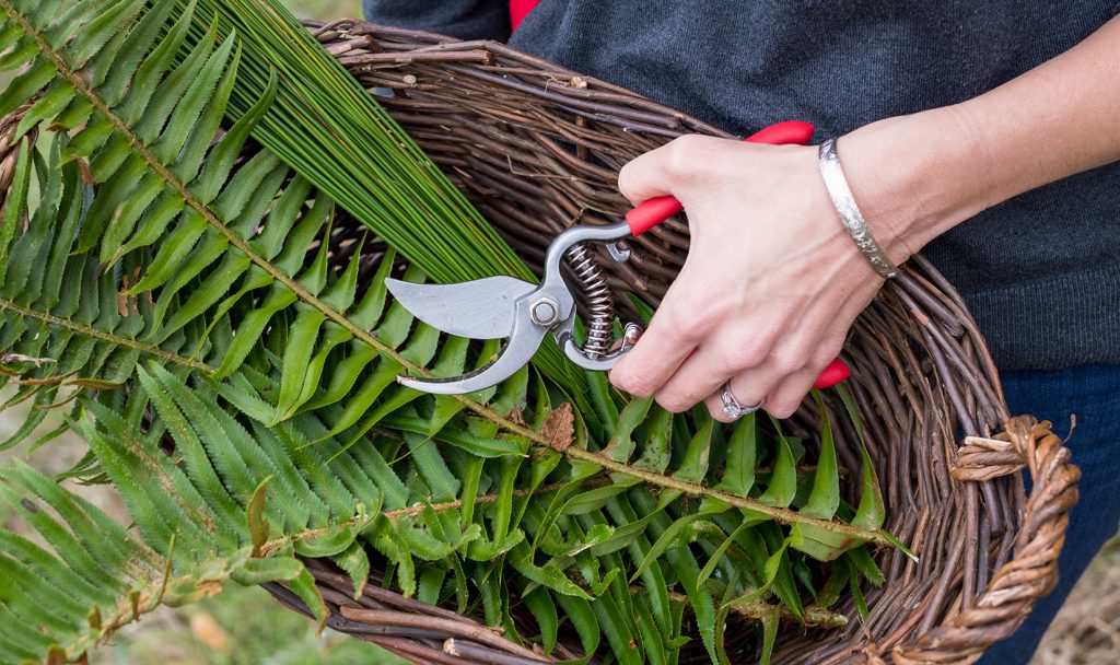 Close-up image of foraged greenery and hands holding garden shears.