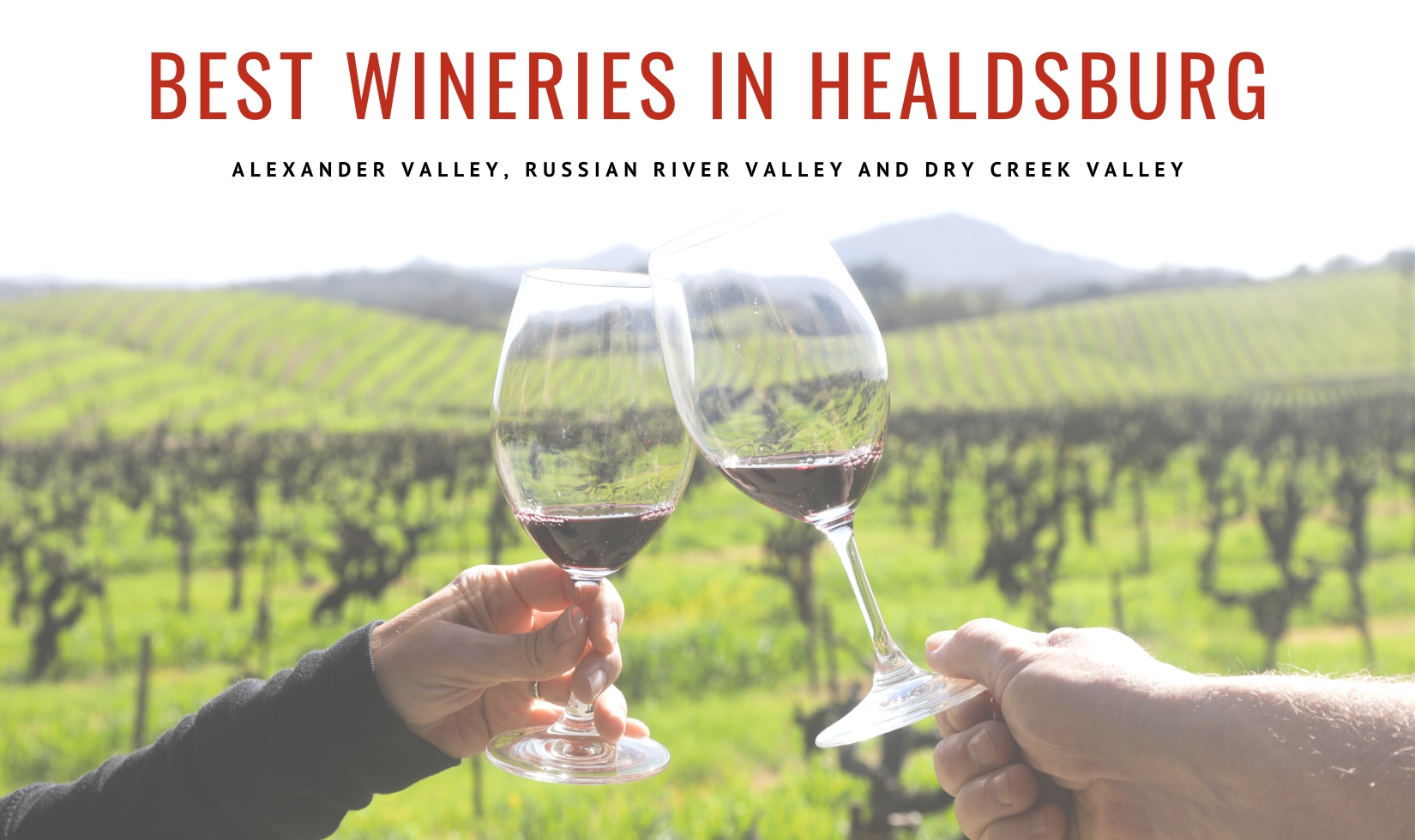 The Best Wineries in Healdsburg CA Wine Country Table