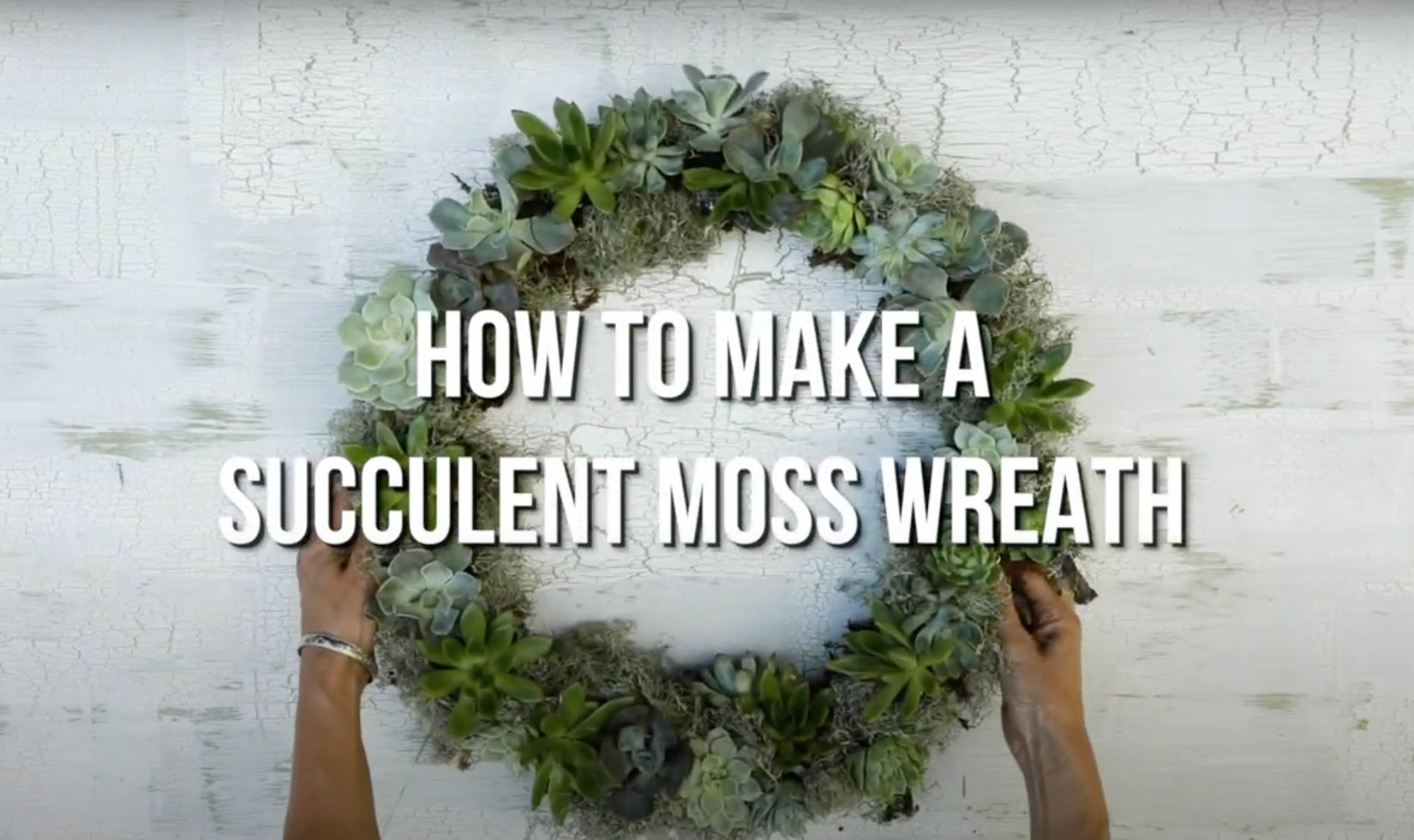 how to make a succulent wreath with tree branches and plants