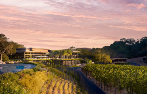 Exterior of resort with outdoor pool and lounge area overlooking vineyards.