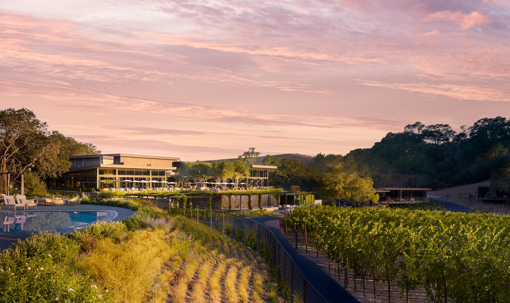 Exterior of resort with outdoor pool and lounge area overlooking vineyards. 