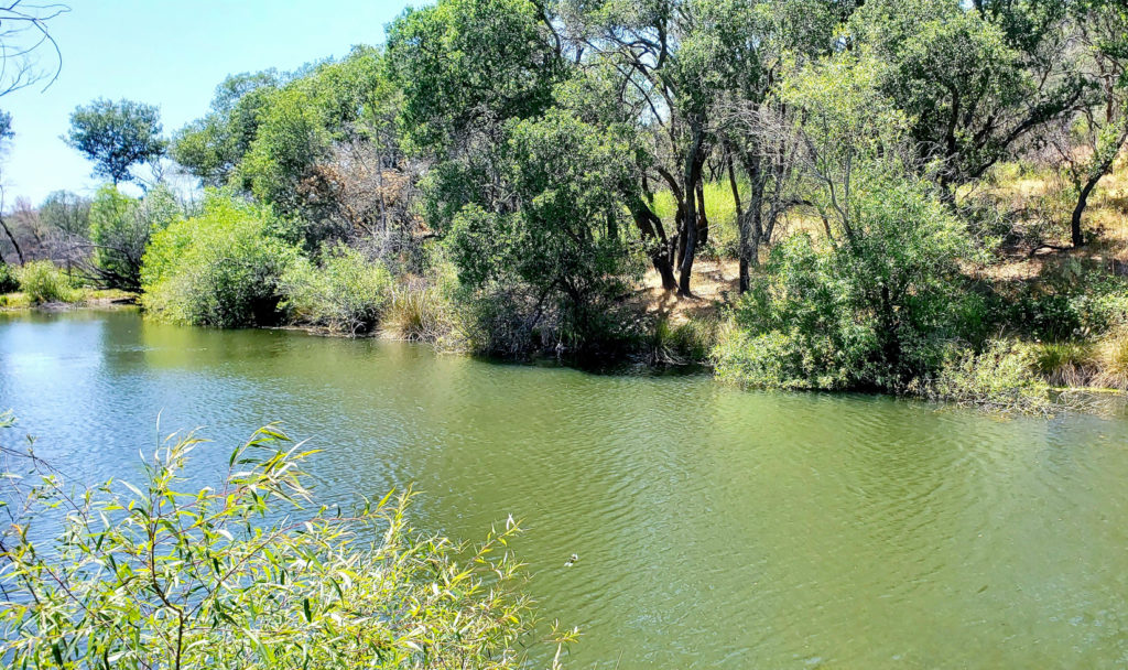 Best Hiking In Sonoma County | Vineyard Hikes With Views