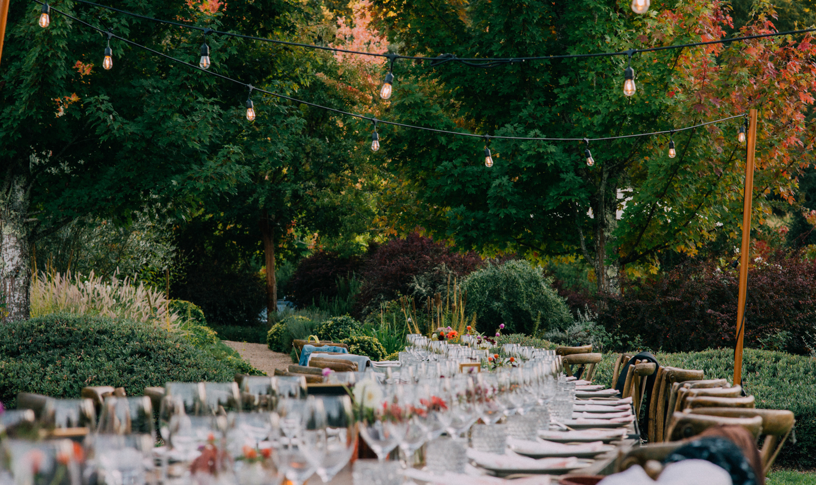 outdoor long table set in the vineyards