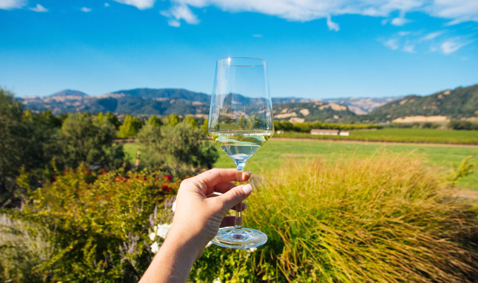 Top Sonoma Winery Picnic Experiences Wine Country Table