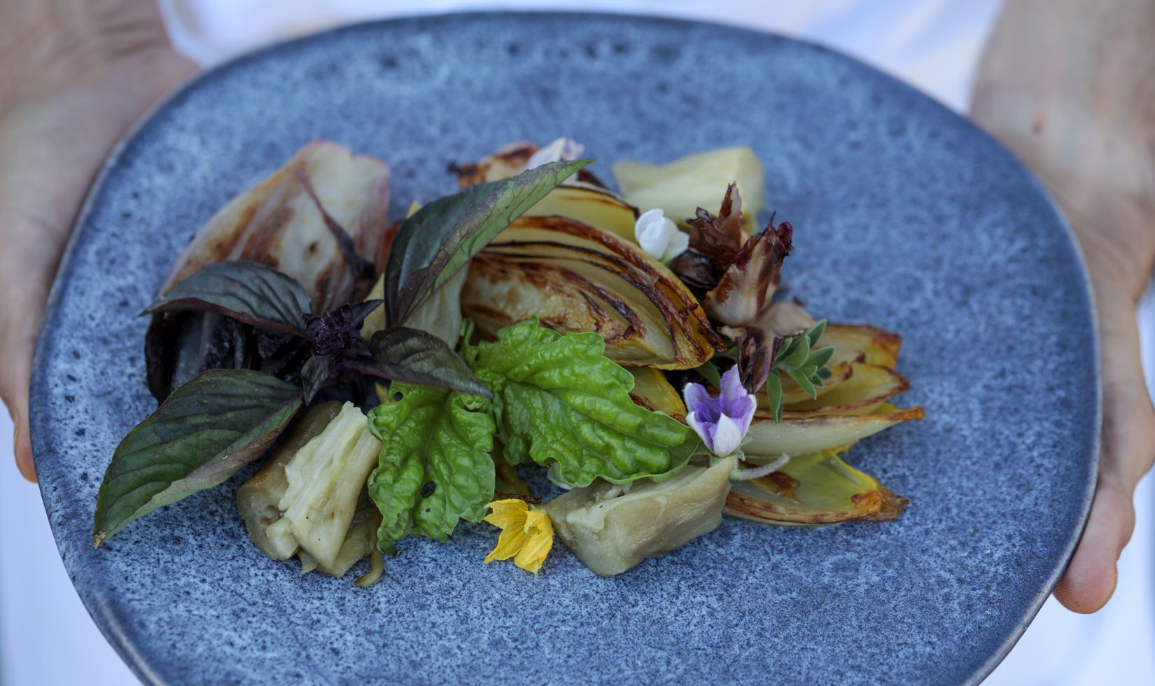 grilled Japanese eggplant with radicchio and endive on blue plate