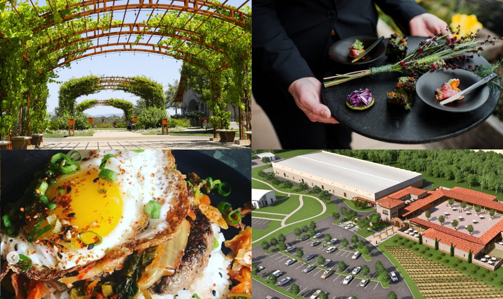 photo collage of new healdsburg winery, restaurant menu, egg breakfast plate and new construction site