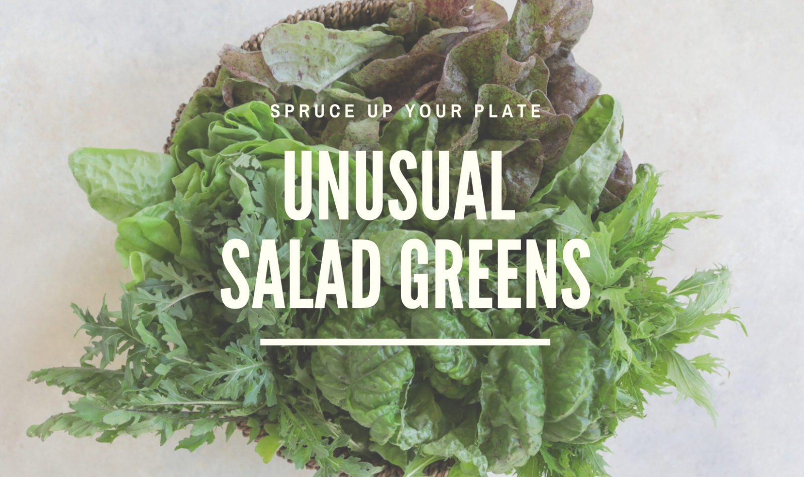 white text overlay basket of salad lettuce leaves