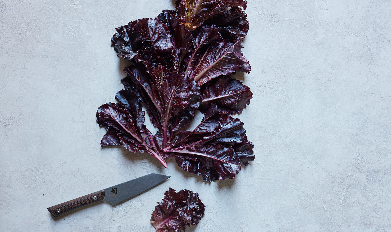 close up of jordan winery's garden merlot lettuce leaves with chef's knife