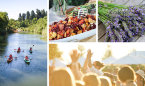 photo collage of kayakers on river, close up of beets on plate, lavender and man clapping his hands at outdoor concert