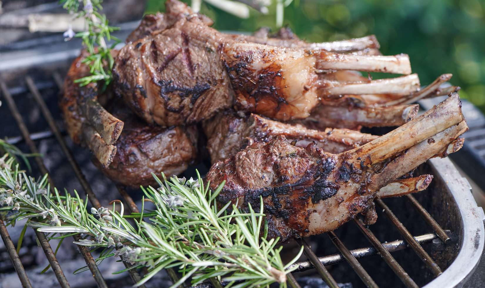 lamb chops placed on grill with rosemary